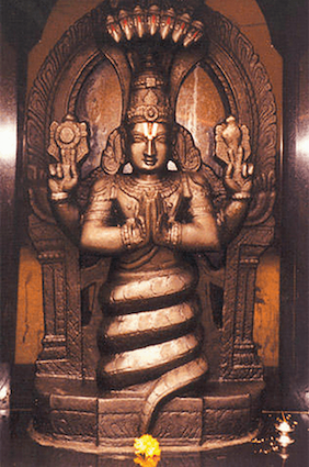 Yoga guru yogi ashwini