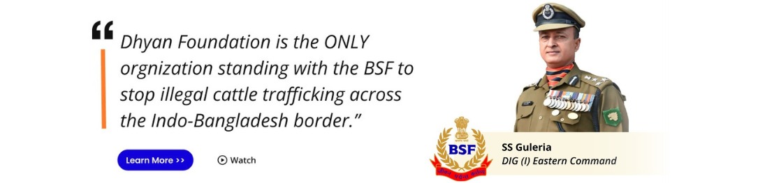BSF