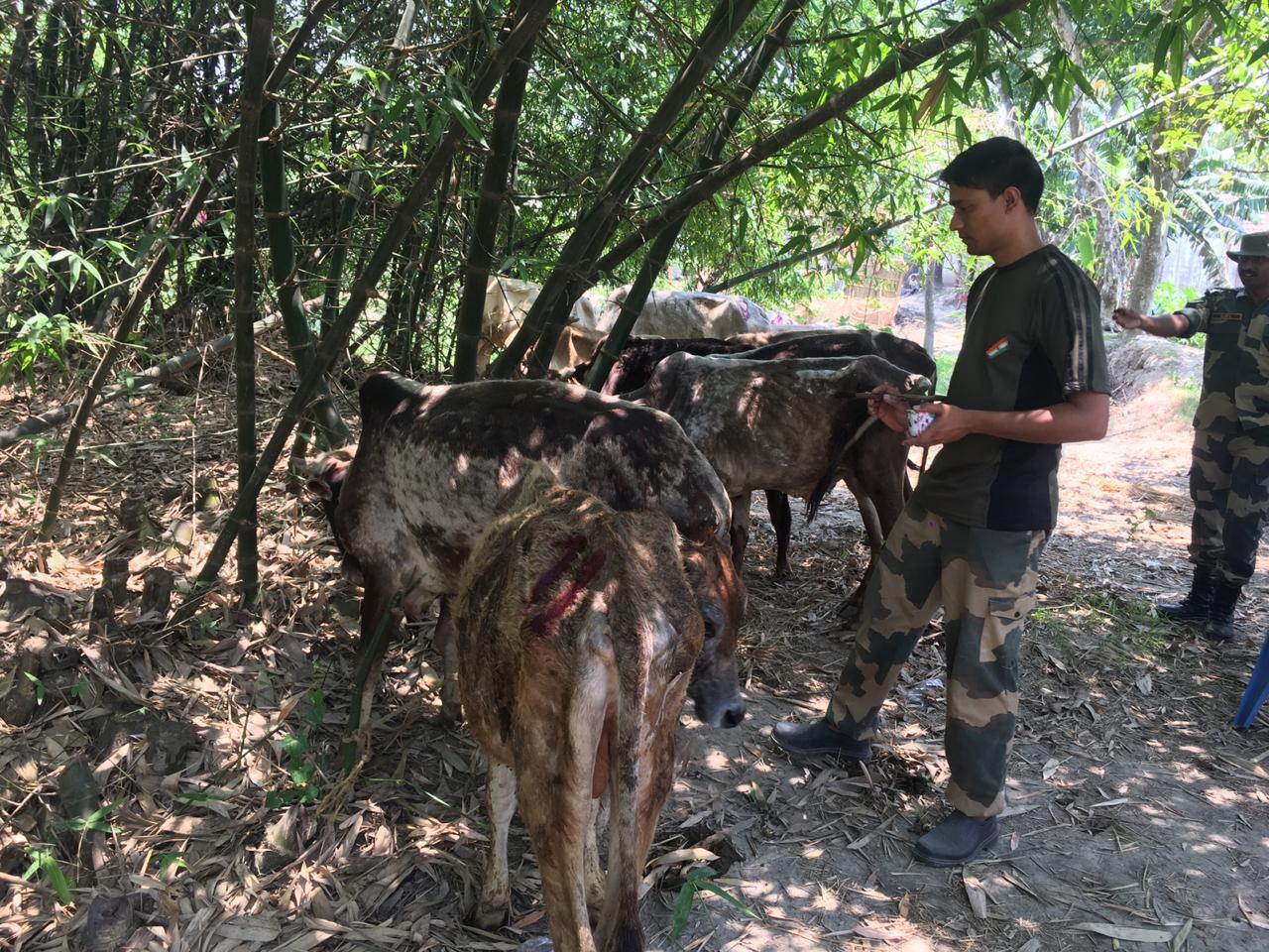 Donate for BSF Rescues