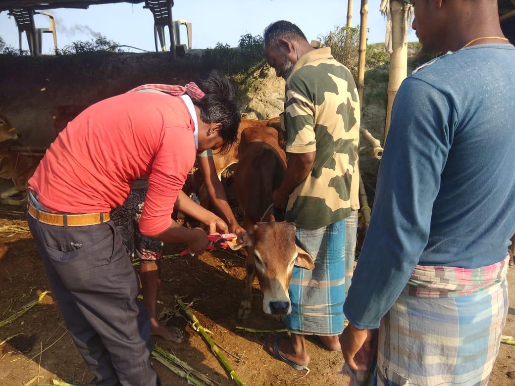 Donate for BSF Rescues