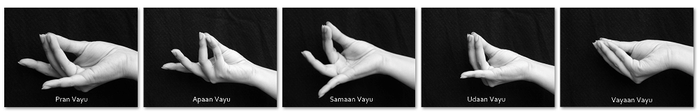 pran apaan samaan udaan vayaan vayu